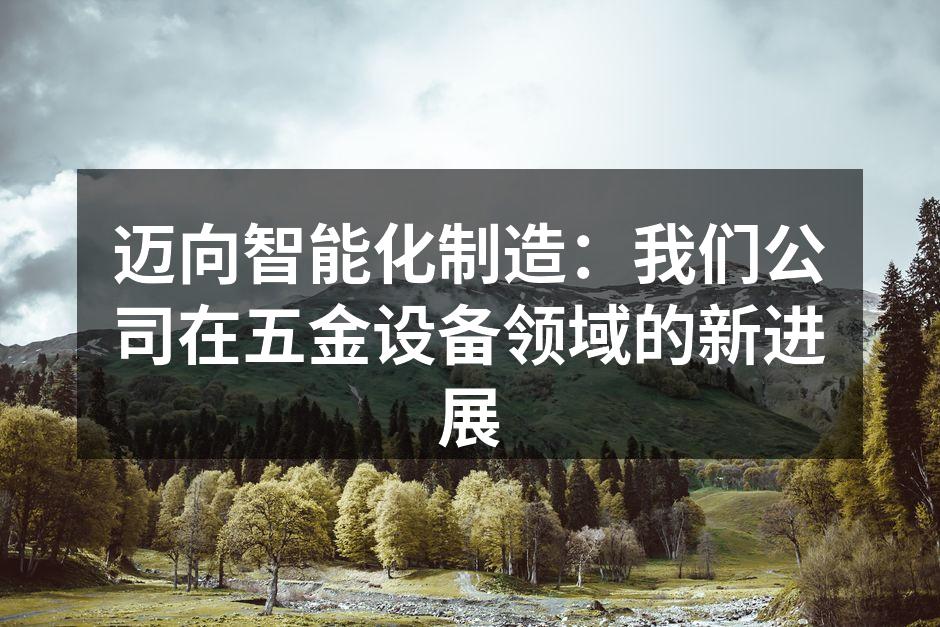 迈向智能化制造：我们公司在五金设备领域的新进展